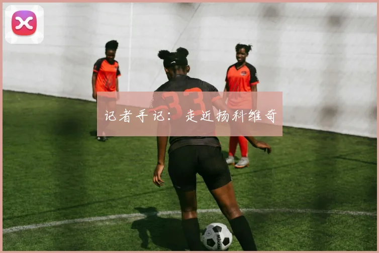 记者手记：走近扬科维奇
